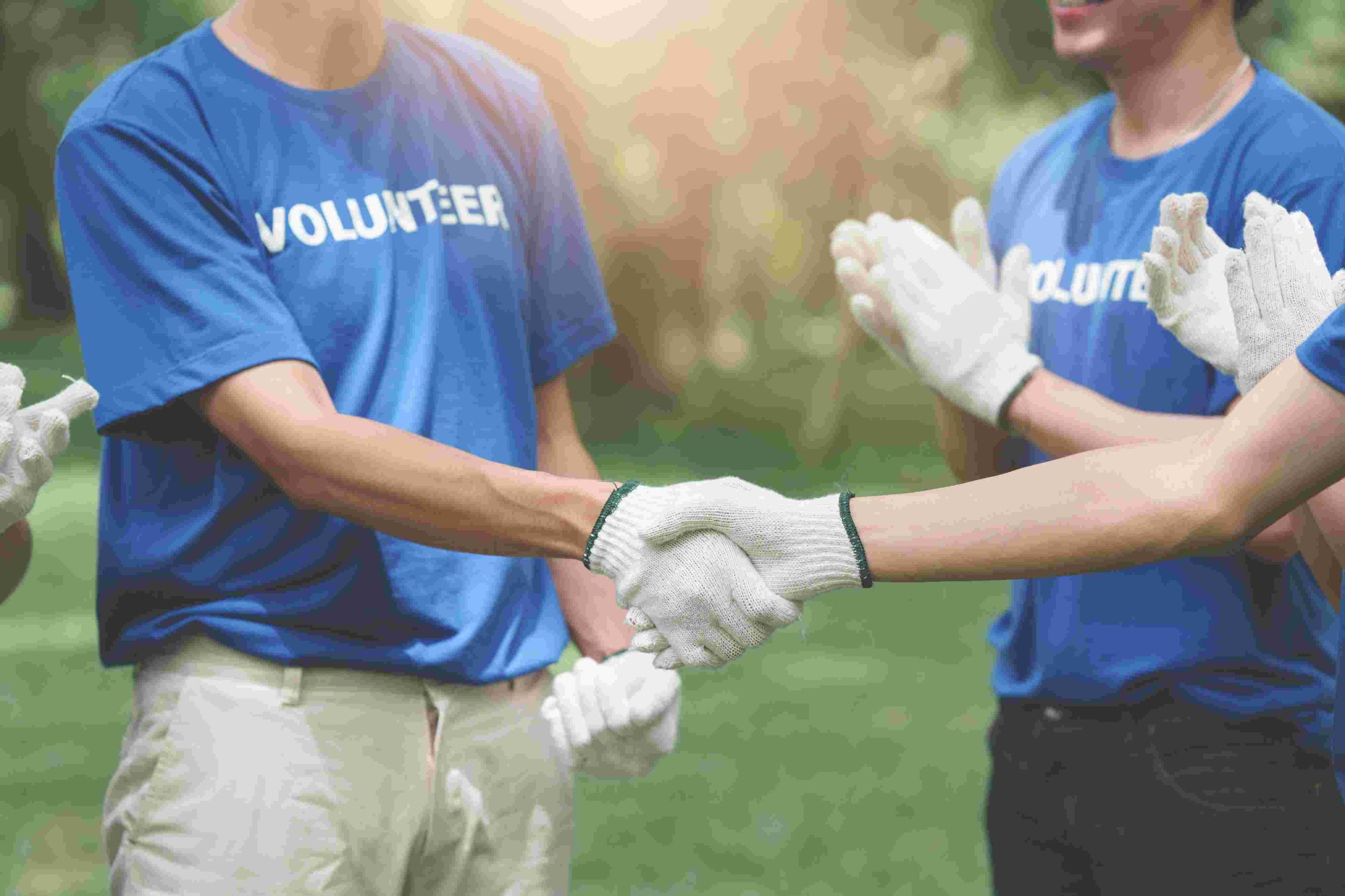 Social Impact Organizations