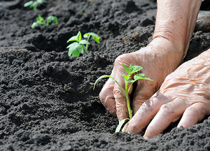 Farming Businesses