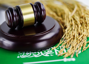 Legal Support Services