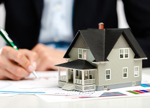 Property & Real Estate